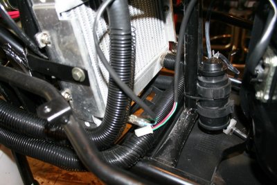 IMG_5452_resize.JPG