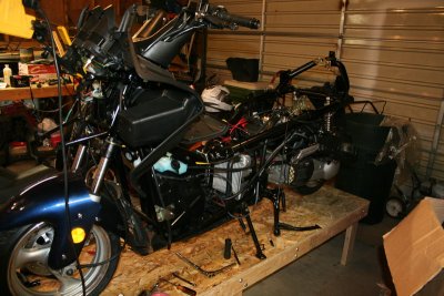 IMG_5467_resize.JPG