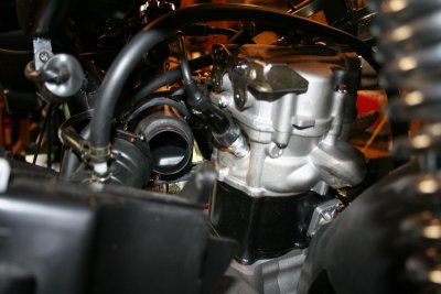 IMG_5473_resize.JPG