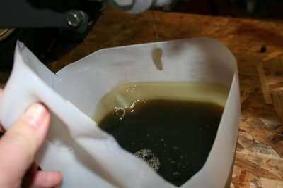 IMG_5535_resize.JPG