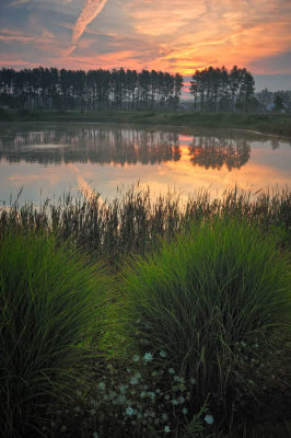 8/15/08 - Sunrise