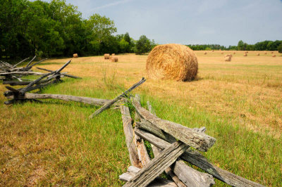8/26/08 - Hay Bales