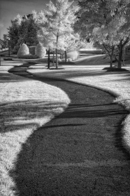 07/02/09 - Sinuous Curve in Infrared