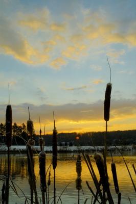 12/7/05 - Sunrise