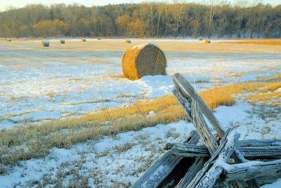 12/10/05 - Manassas Battlefield