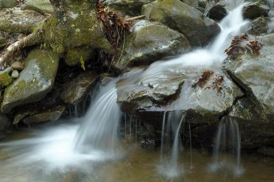 g3/32/397232/3/54472846.041_1_DSC6016_nc4_pwp_resize.jpg