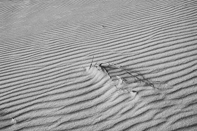 1/7/06 - Sand Ripples