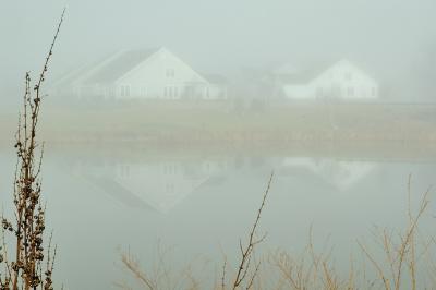 1/12/06 - Foggy Morn