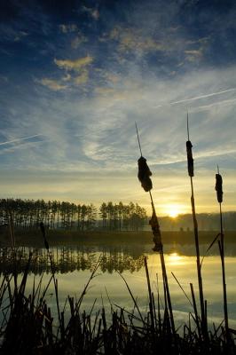 2/4/06 - Winter Sunrise