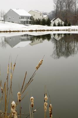 2/22/06 - Reflections