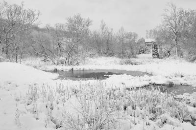 monochrome - 18