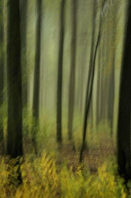 The Monet Moment