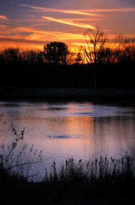 12/1/07 - D300 PAD #2