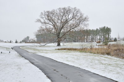 12/5/07 - Winter Walk