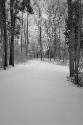 12/6/07 - Winter Walk 2