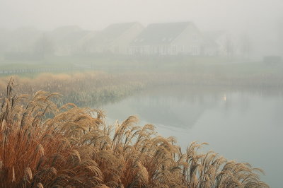 12/16/07 - Misty Reflections