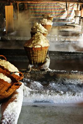 Salt Making