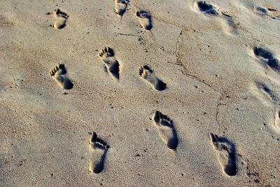 Footprints in the Sand