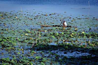 Paoay Lake