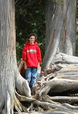 Sam in the trees at Glacier Park