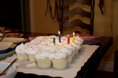 IMG_8873 cupcakes and candles.jpg