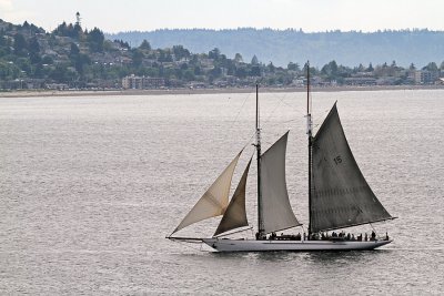 IMG_6032 Sailboat and West Seattle.jpg