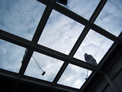 IMG_0106 Cleaning the skylights.jpg