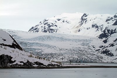 IMG_6929 Glacier Bay.jpg