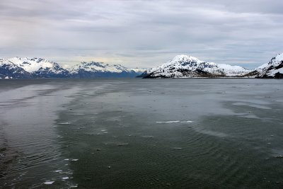 IMG_9159 Glacier Bay looking back.jpg