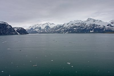 IMG_9165 inside Glacier Bay.jpg