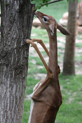 IMG_9256 stretching.jpg