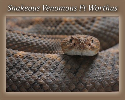 Snakeous Venomous Ft Worthus smallus.jpg