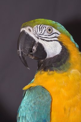 g3/32/51532/3/121821819.XQXeJUoo.jpg