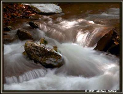 g3/32/51532/3/53549916.catskillsteam9sp.jpg