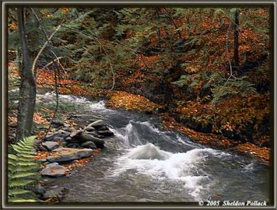 g3/32/51532/3/53549917.catskillsteam11sp.jpg