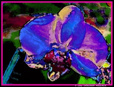 watercolor-orchid-.jpg