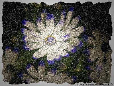 blue--white-flower.jpg