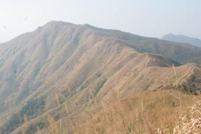 Lai Pek Shan