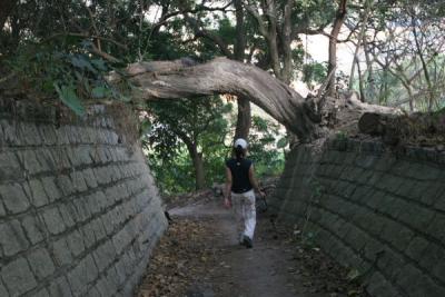 Joyce under branch near Luk Keng