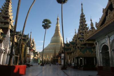 Palmed Tree'ed Walkway at Shwedagon Pagoda