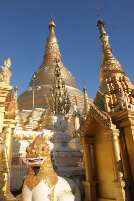 Dragon and Shwedagon Pagoda