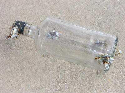 Glass Bottle at Beach at Teluk Sumpat