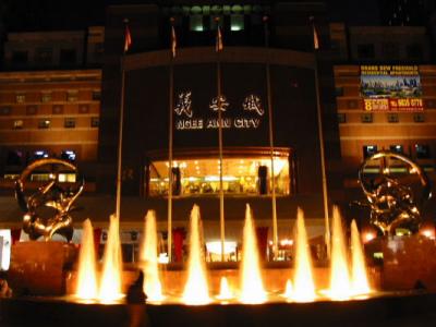 Fountain at Ngee Ann City at Night