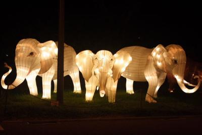 While Elephant Lanterns
