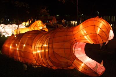 Hippopotamus Lantern