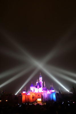 Sleeping Beauty Castle Lights
