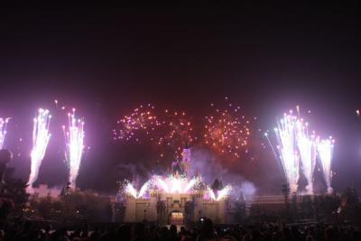 Sleeping Beauty Castle Purple Fireworks