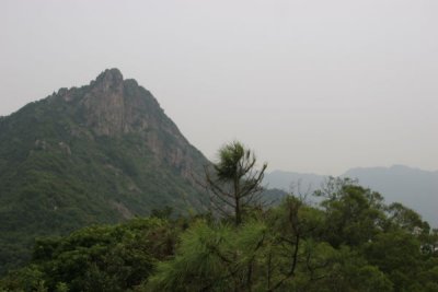 Lion Rock View