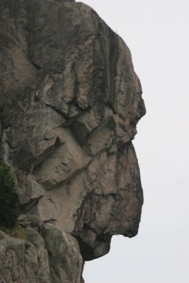 Human Face Rock at Lion Rock (Close Up)