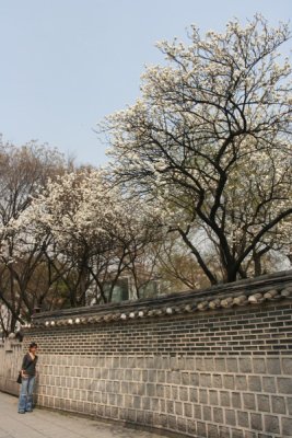 IMG_3275.JPG